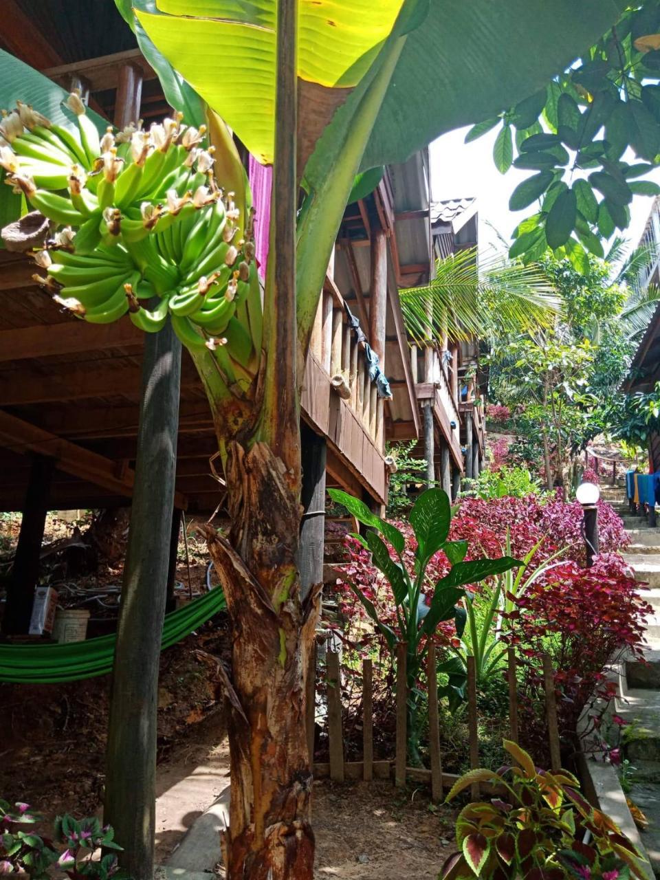 Happy Elephant Bungalows Kaoh Touch Exterior foto